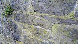 acastle 105640.jpg